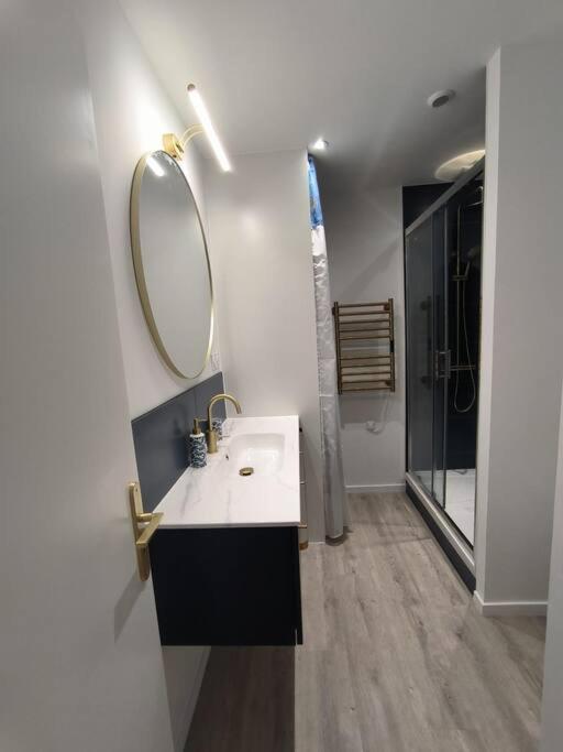 T2 -55M2- Elegant Et Chaleureux Apartment Montbrison Exterior foto